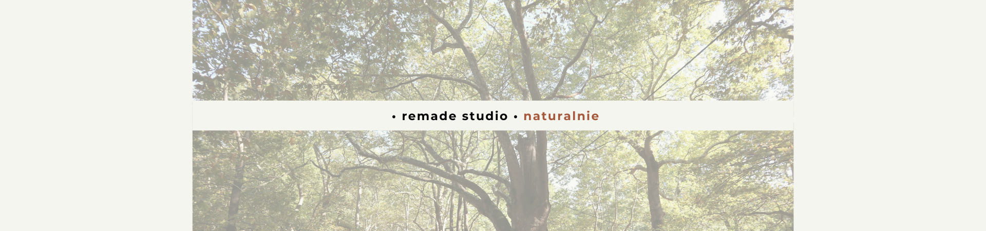 ekologiczne-projektowanie-wnętrz